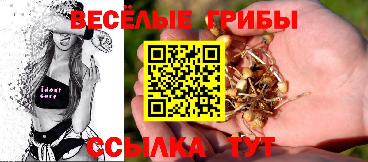 Галлюциногенные грибы Psilocybe Вятские Поляны