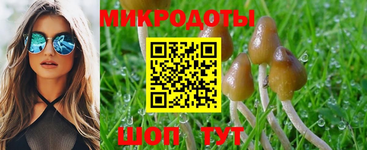 Галлюциногенные грибы MAGIC MUSHROOMS  Вход с VPN  Вятские Поляны 
